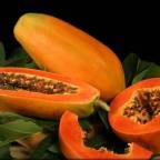 Dar papaya