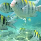 ¿Que hacer en Santa Marta? Las mejores playas