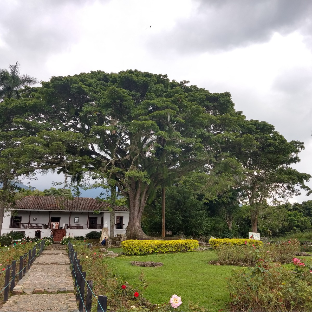 El paraíso